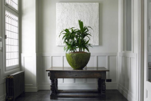 Baum & Raum - Was wir können